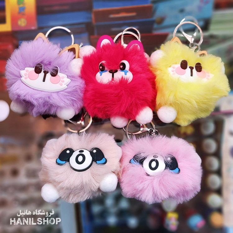 جاسوئیچی خرس پولیشی