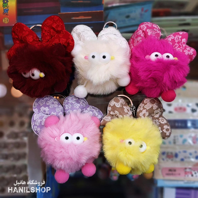 جاسوئیچی خرگوش پولیشی خارجی