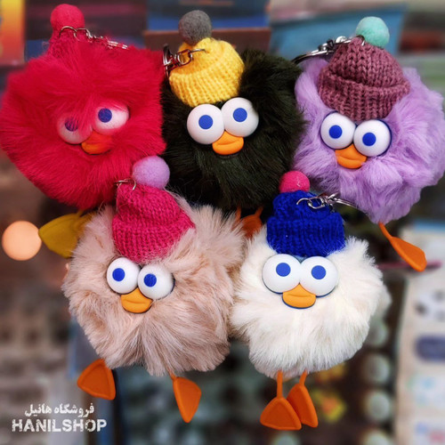 جاسوئیچی اردک پولیشی