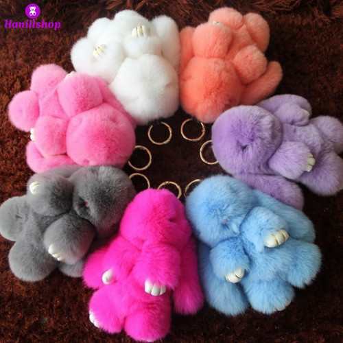 جاسوئیچی خرگوش خوابیده پولیشی خارجی