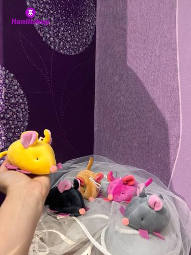 جاسوئیچی موش نانو