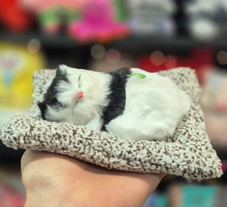 گربه بالشتی موزیکال سفید مشکی خوابیده