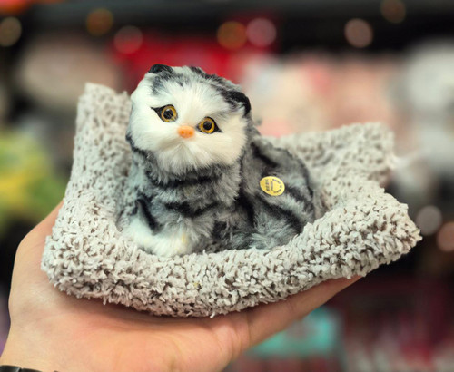 گربه بالشتی موزیکال طوسی سیاه نشسته