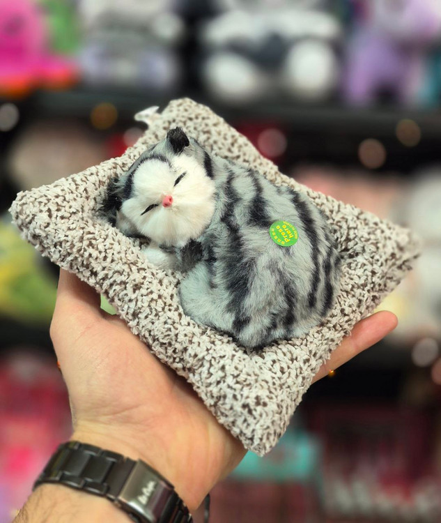 گربه بالشتی موزیکال طوسی سیاه خوابیده