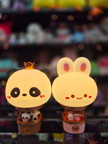 شب خواب سیلیکونی